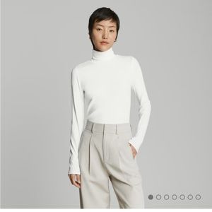Everlane Pima Micro-Rib turtleneck size small
